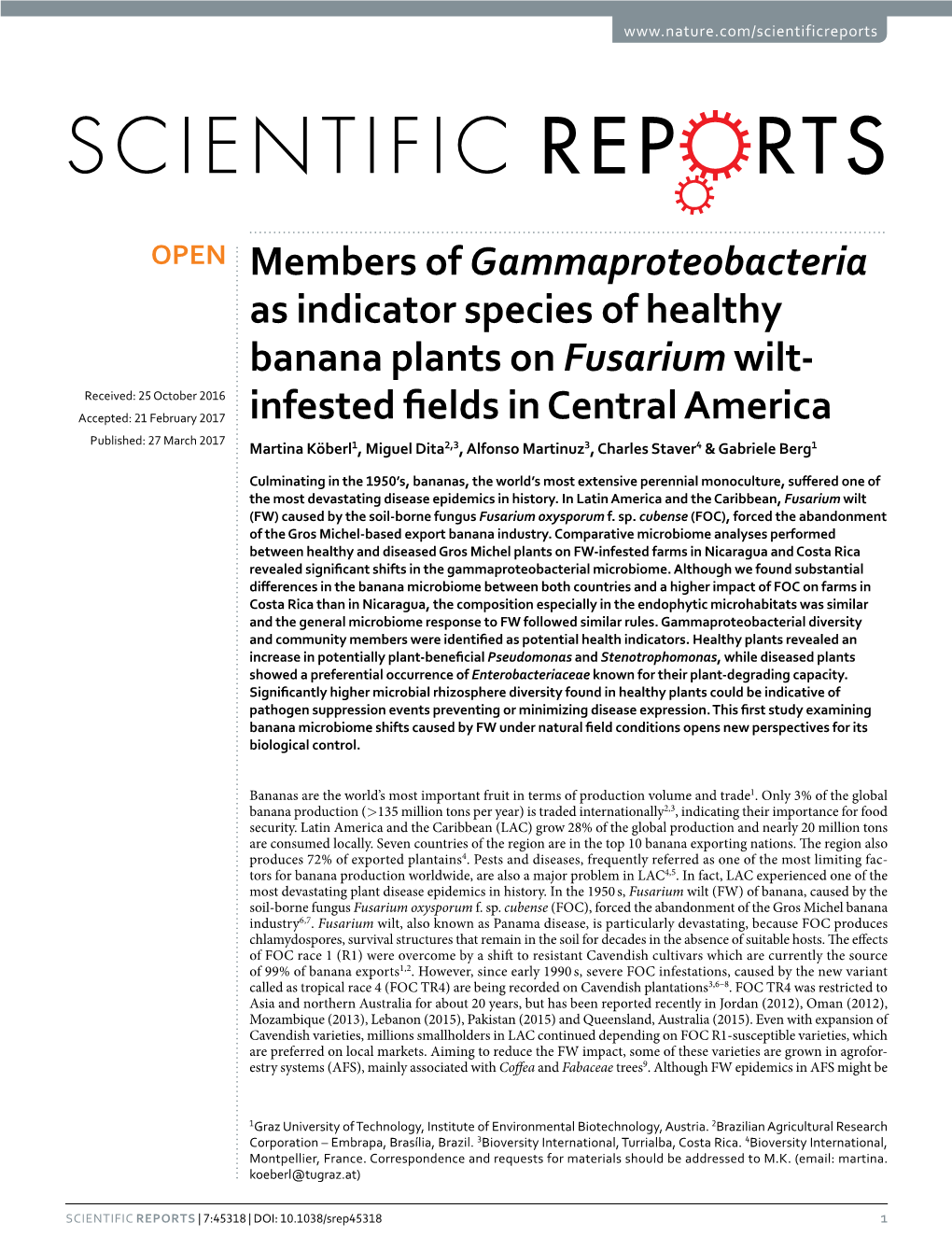 Members of Gammaproteobacteria As Indicator Species of Healthy Banana