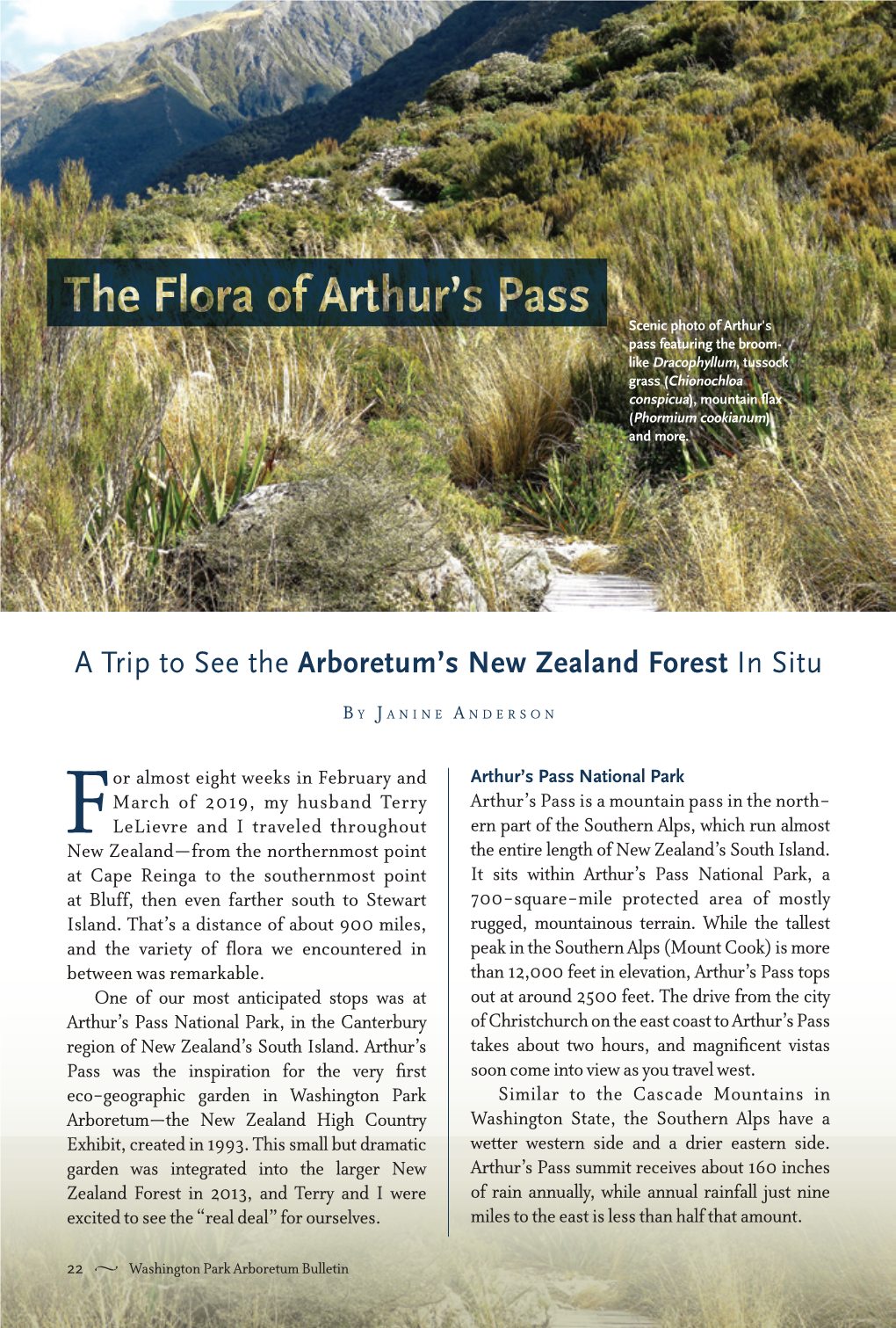 The Flora of Arthur's Pass