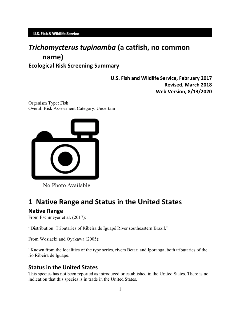 Trichomycterus Tupinamba (A Catfish, No Common Name) Ecological Risk Screening Summary