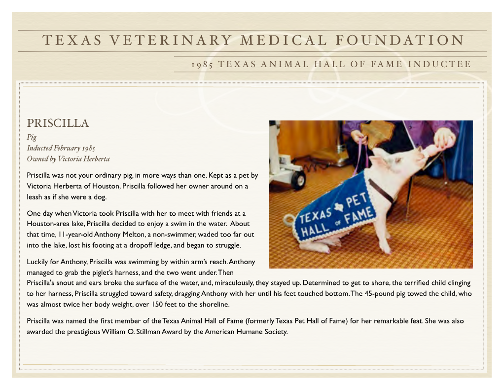Texas Veterinary Medical Foundation