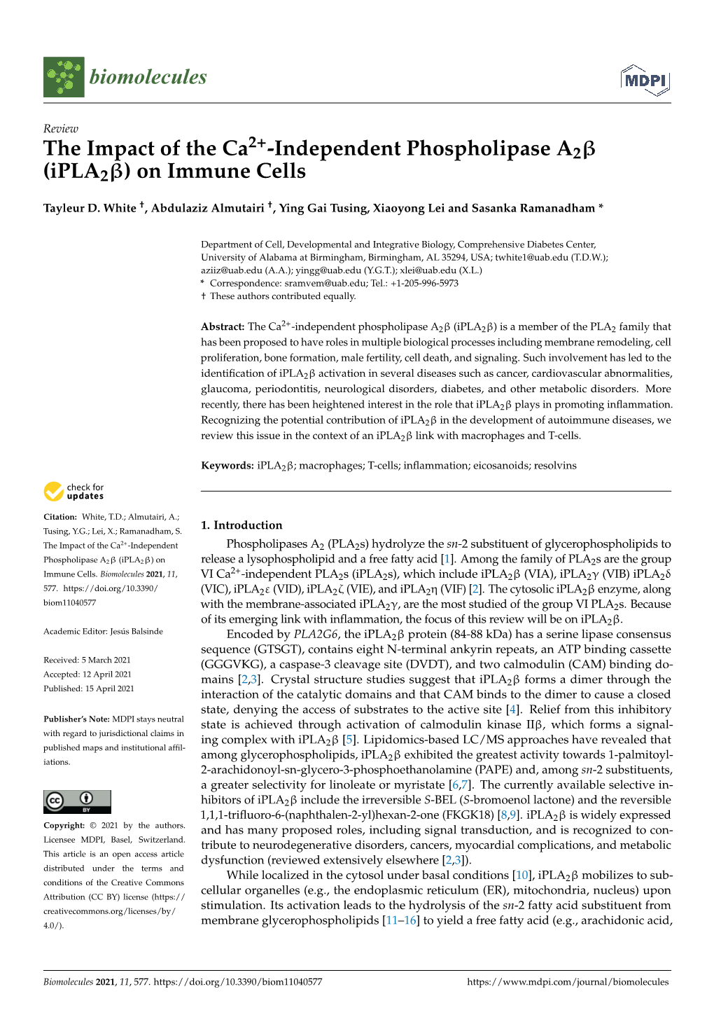 The Impact of the Ca2+-Independent Phospholipase A2 (Ipla2) on Immune Cells