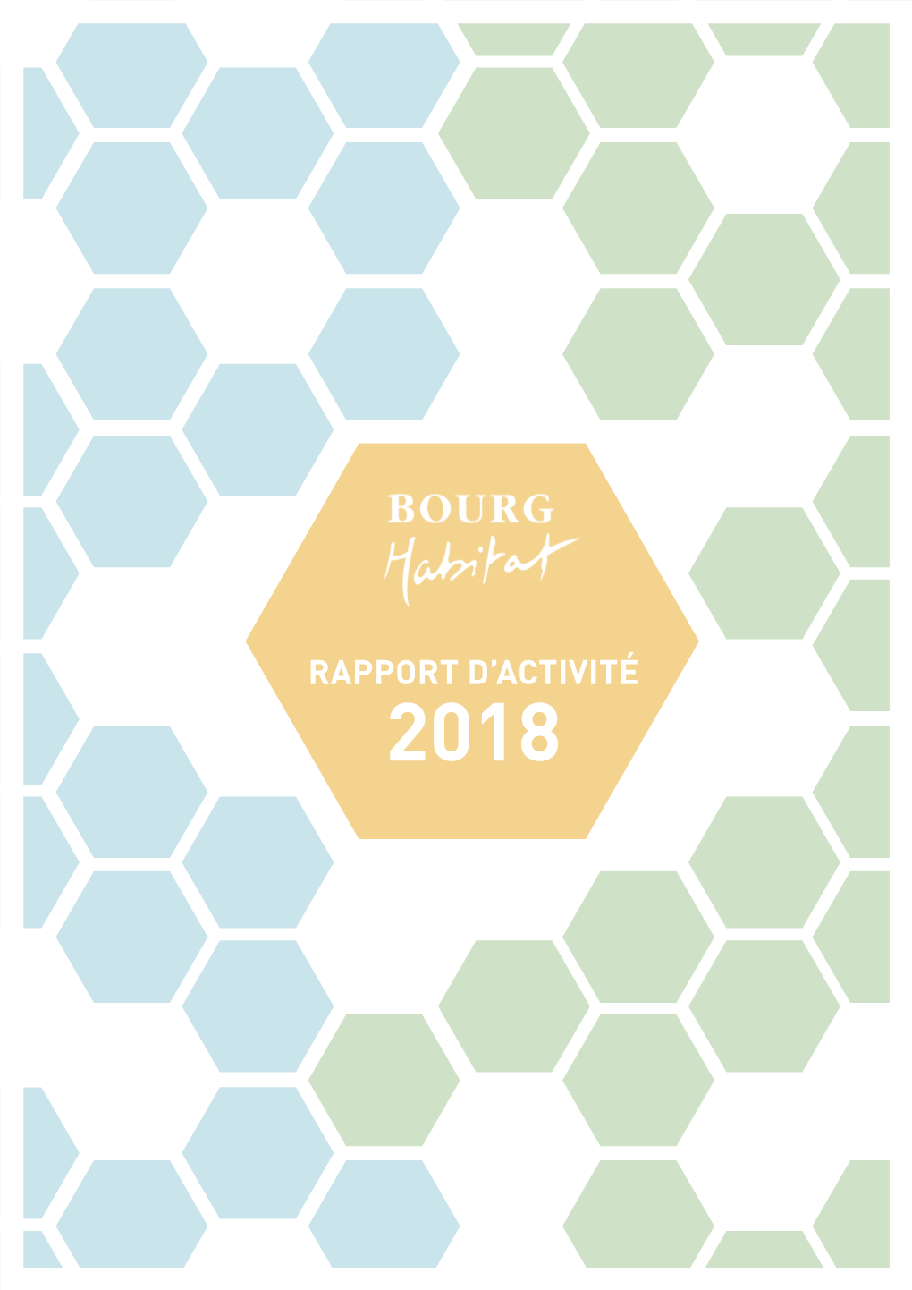 Rapport D'activité 2018