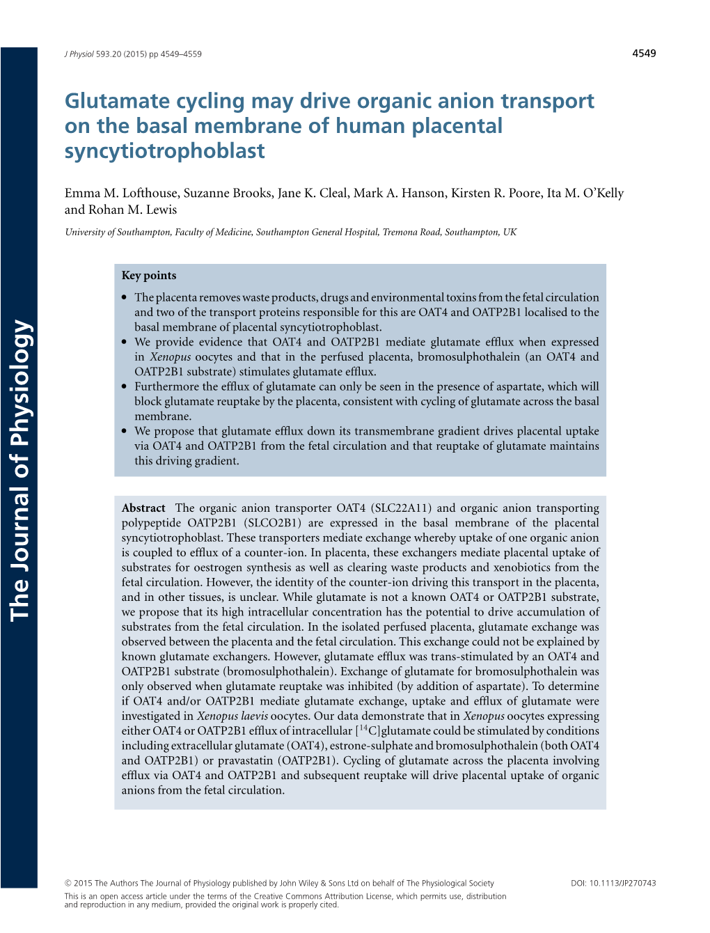 Glutamate Cycling May Drive Organic Anion Transport on the Basal Membrane of Human Placental Syncytiotrophoblast