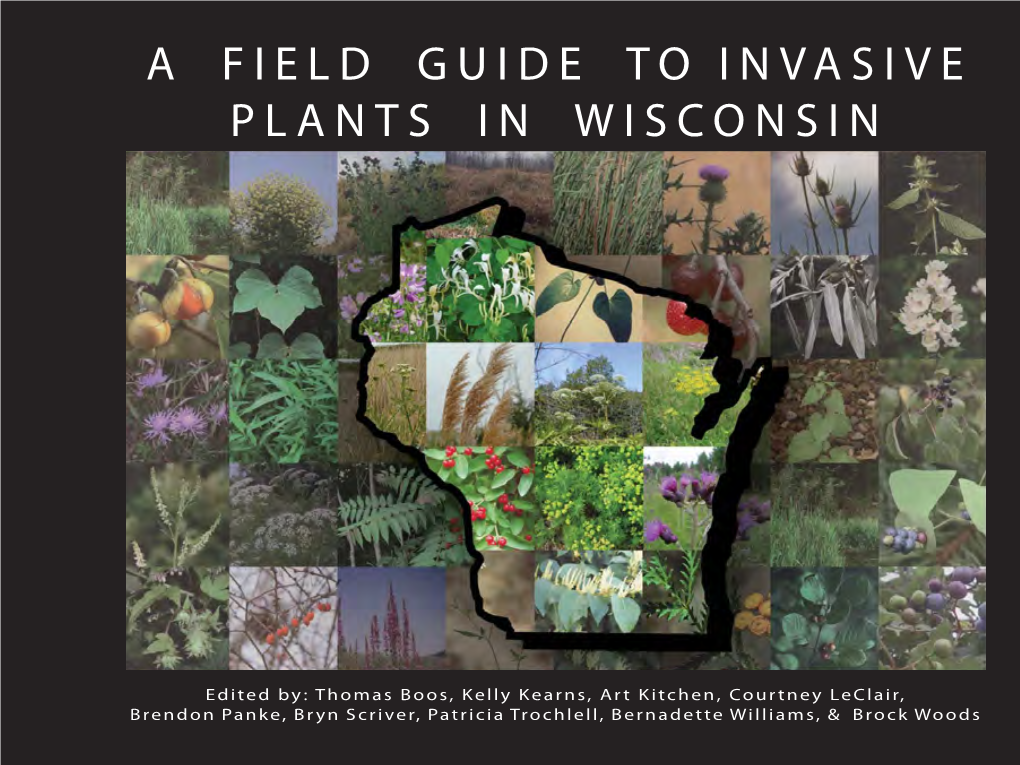 A Field Guide to Invasive Plants in Wisconsin