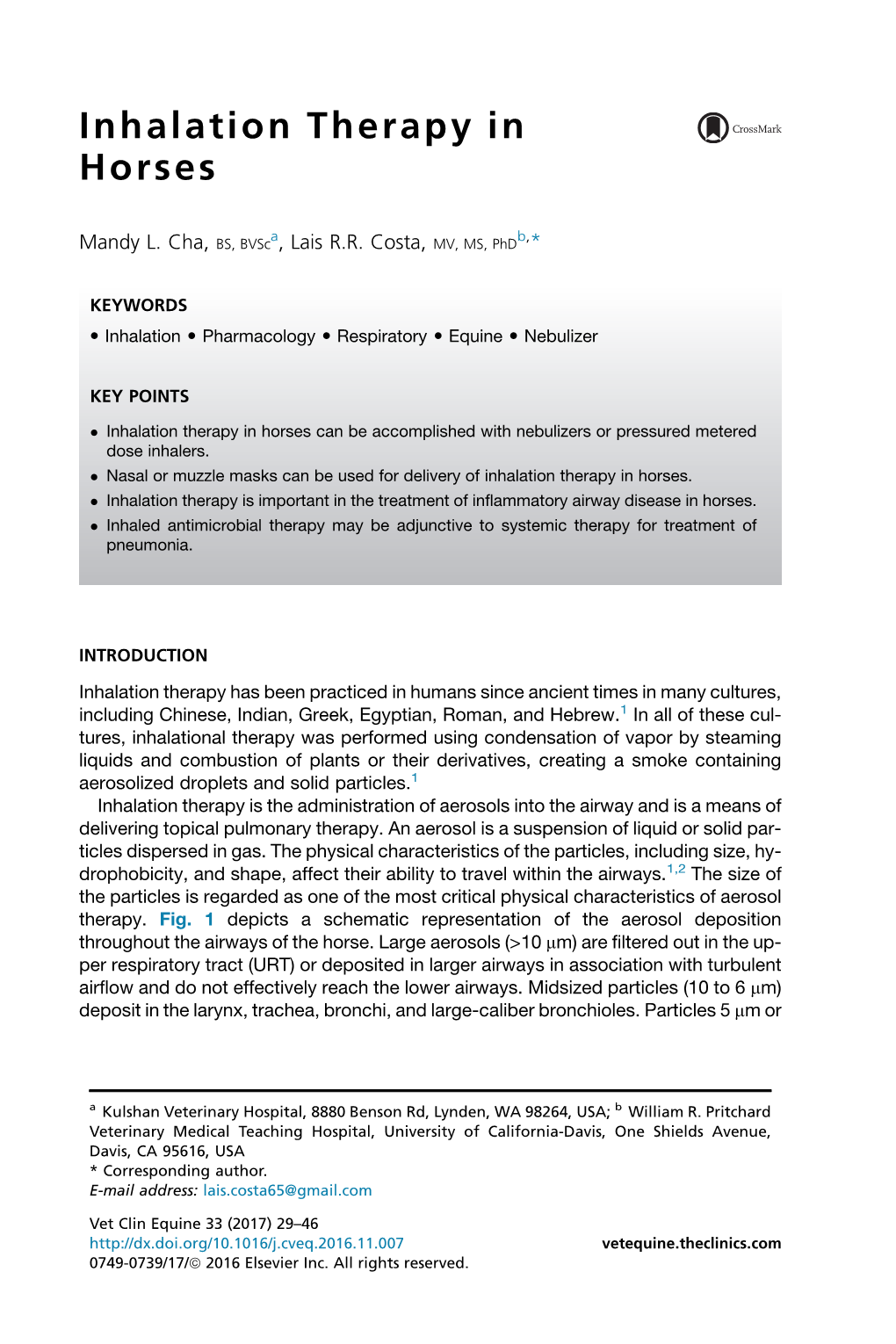 Inhalation Therapy in Horses