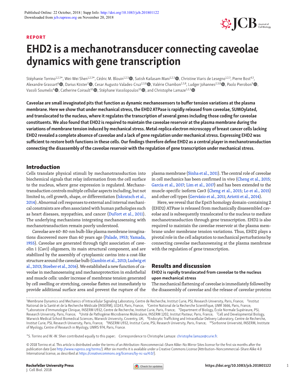 EHD2 Is a Mechanotransducer Connecting Caveolae Dynamics with Gene Transcription