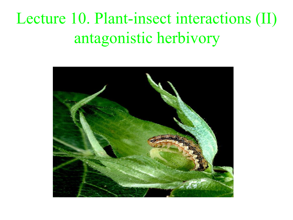 Lecture 10. Plant-Insect Interactions (II) Antagonistic Herbivory Overview