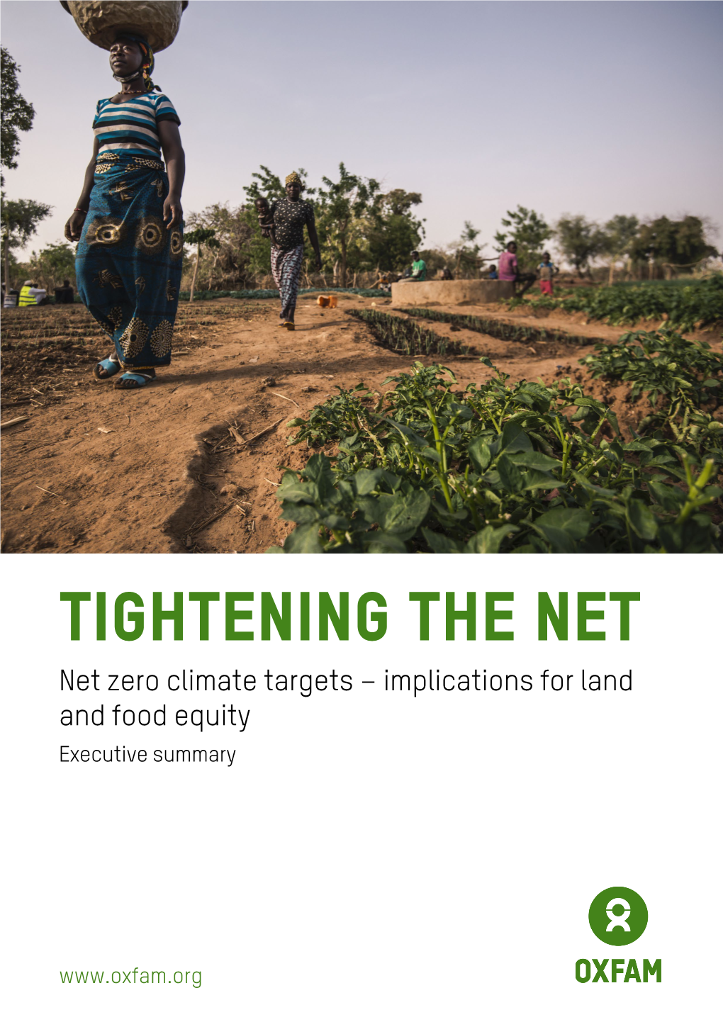 Net Zero Climate Targets – Implications for Land and Food Equity Executive Summary