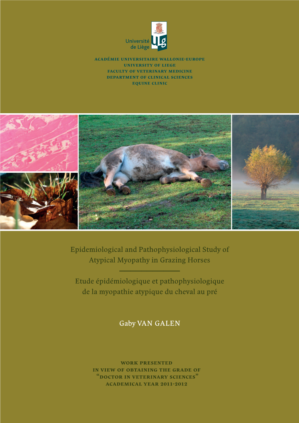 Epidemiological and Pathophysiological Study of Atypical Myopathy in Grazing Horses