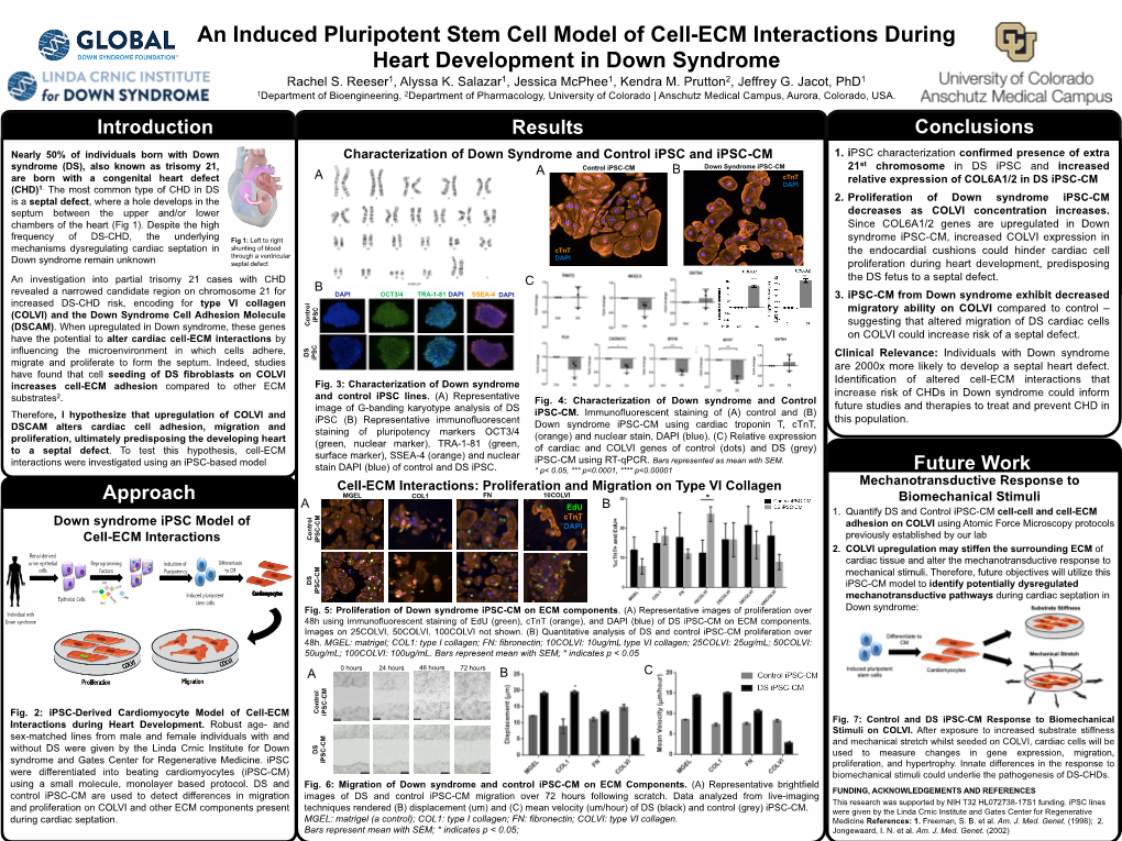 An Induced Pluripotent Stem Cell Model of Cell-ECM Interactions During Heart Development in Down Syndrome Rachel S
