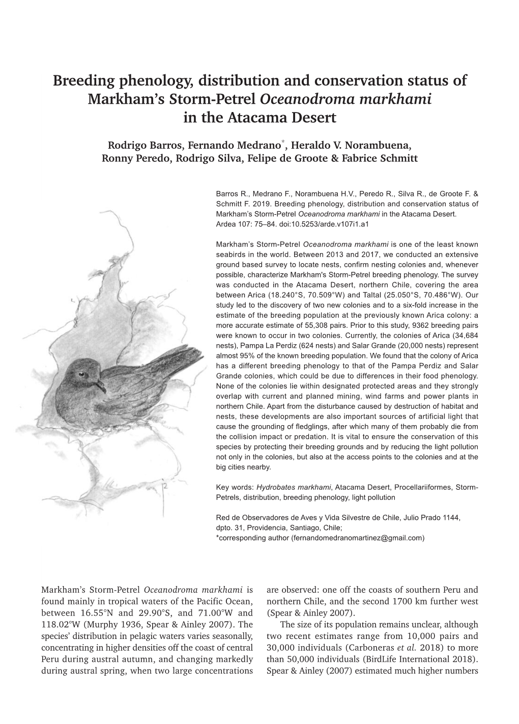 Breeding Phenology, Distribution and Conservation Status of Markham's Storm-Petrel Oceanodroma Markhami in the Atacama Desert