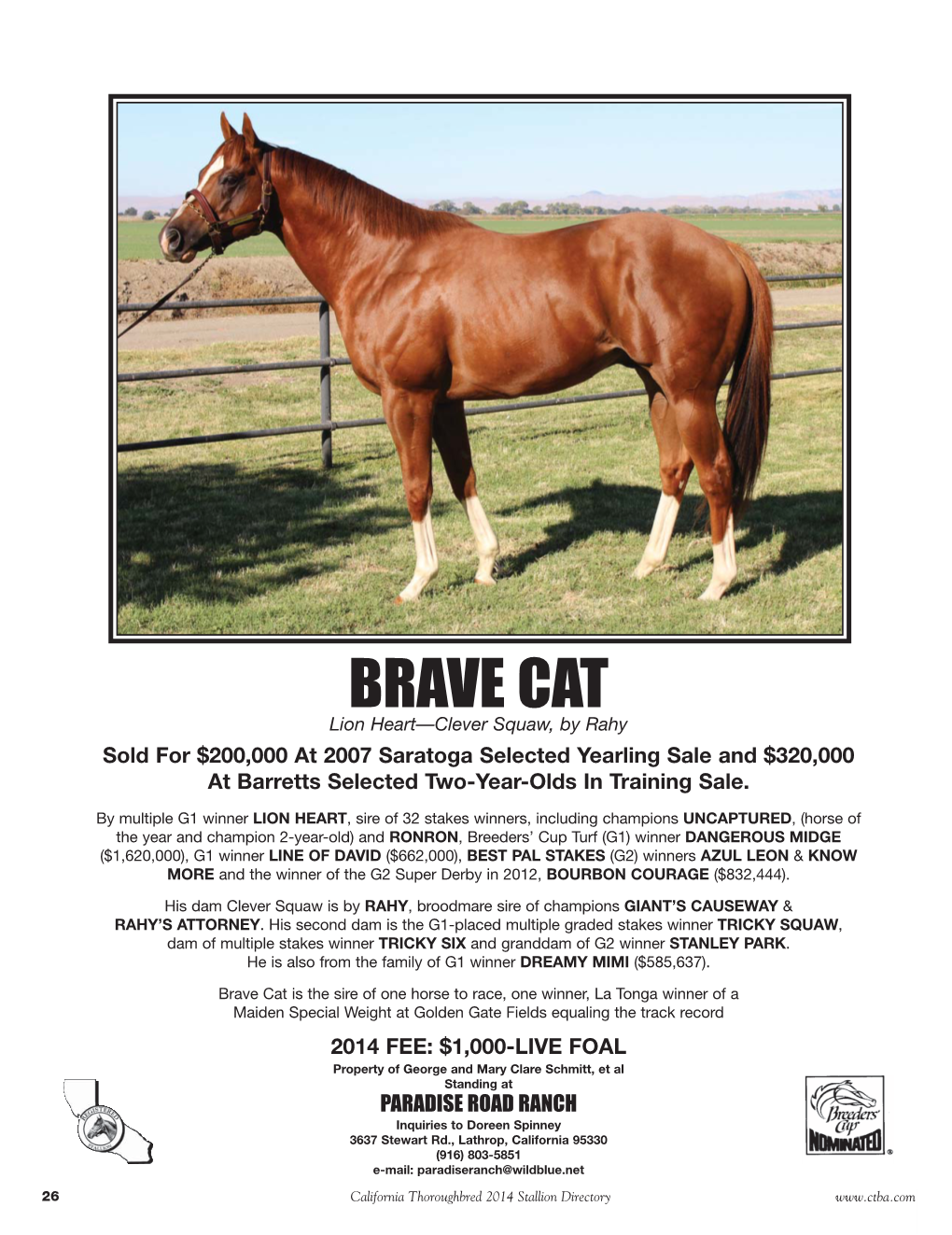 BRAVE CAT:Layout 1 12/2/13 9:03 AM Page 1