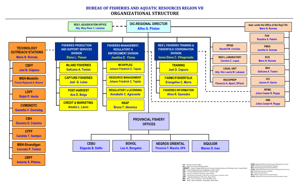 Organizational Structure