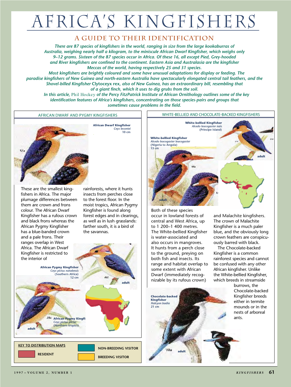 Africa's Kingfishers