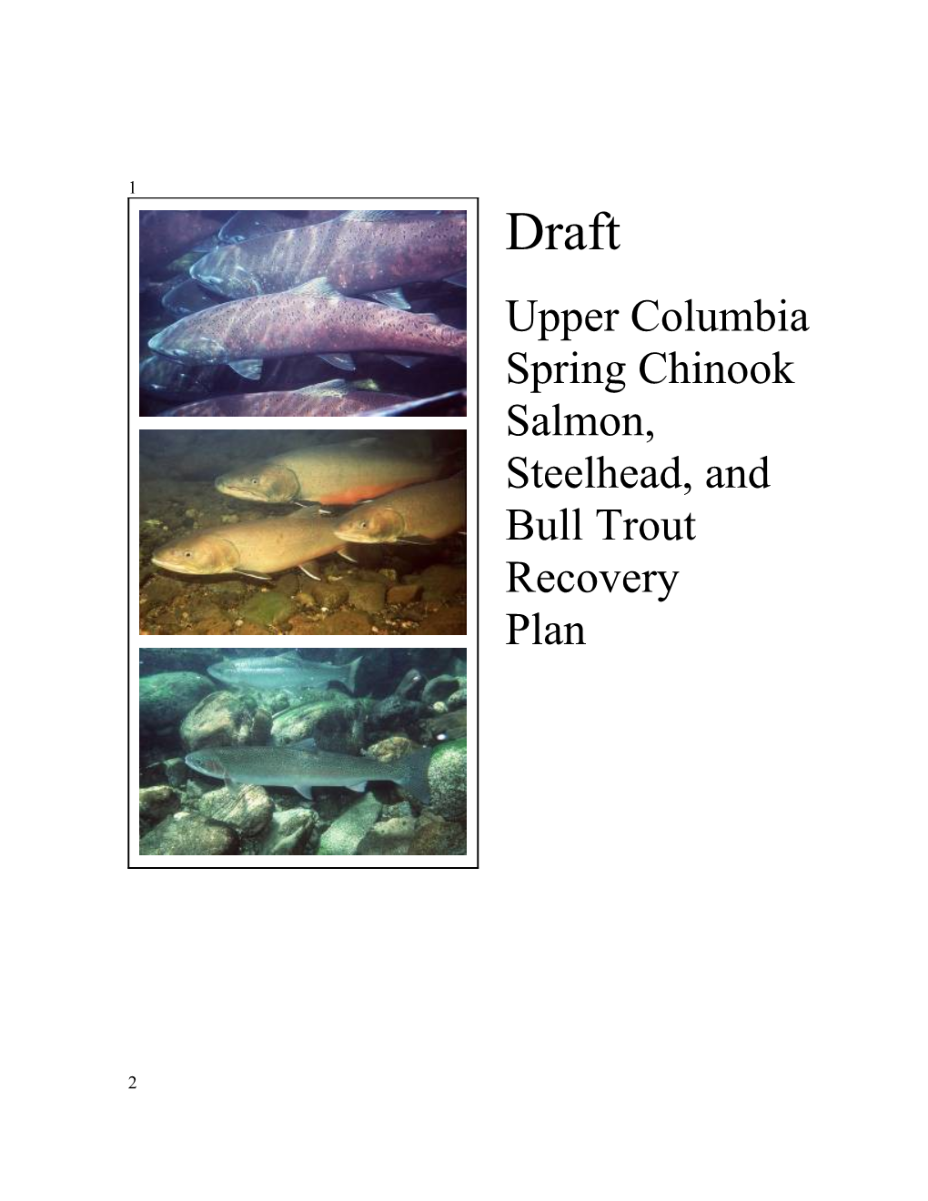 Draft Upper Columbia Salmon Recovery Plan