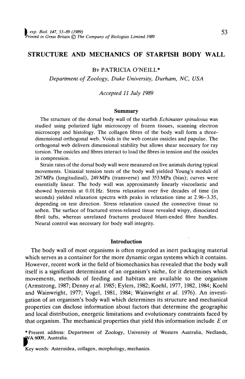 Structure and Mechanics of Starfish Body Wall