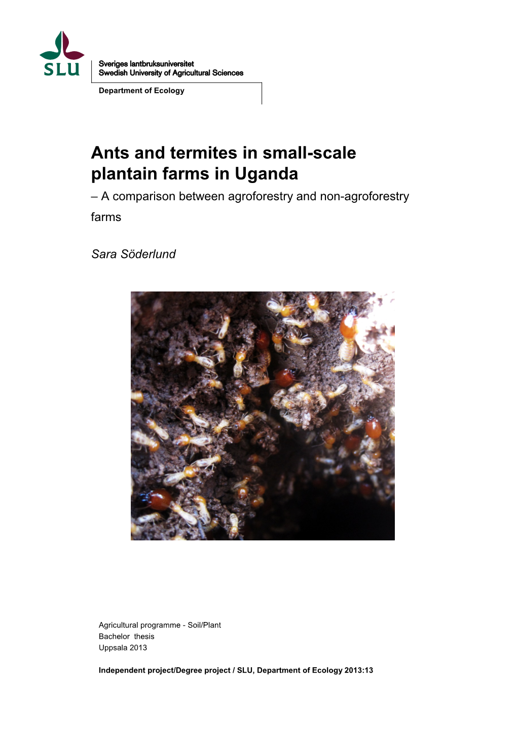 Ants and Termites in Small-Scale Plantain Farms in Uganda – a Comparison Between Agroforestry and Non-Agroforestry Farms