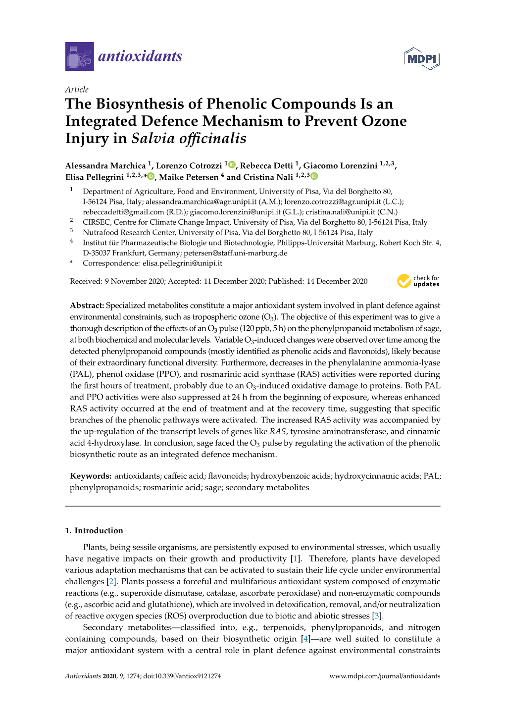 The Biosynthesis of Phenolic Compounds Is an Integrated Defence Mechanism to Prevent Ozone Injury in Salvia Oﬃcinalis