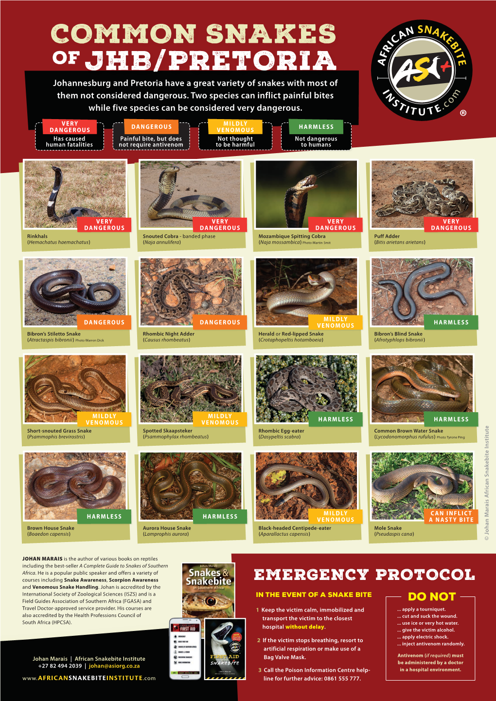Jhb/Pretoria Common Snakes