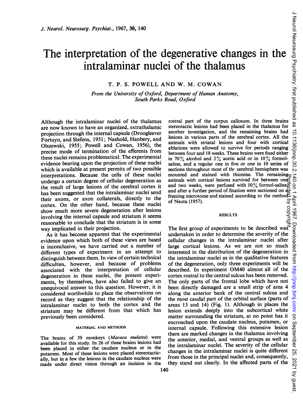 The Interpretation Ofthe Degenerative Changes In