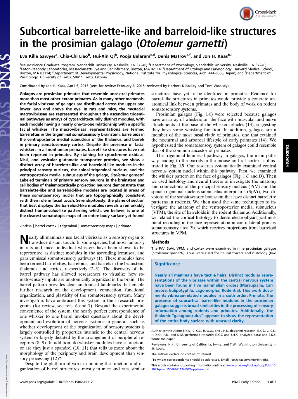 Subcortical Barrelette-Like and Barreloid-Like Structures in the Prosimian Galago (Otolemur Garnetti)