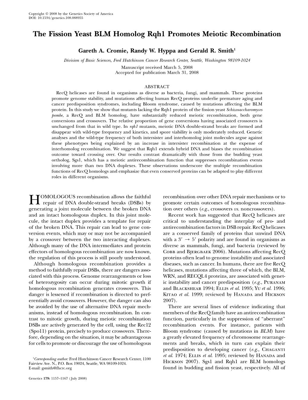 The Fission Yeast BLM Homolog Rqh1 Promotes Meiotic Recombination