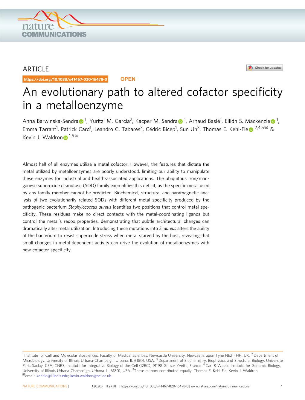 An Evolutionary Path to Altered Cofactor Specificity in A