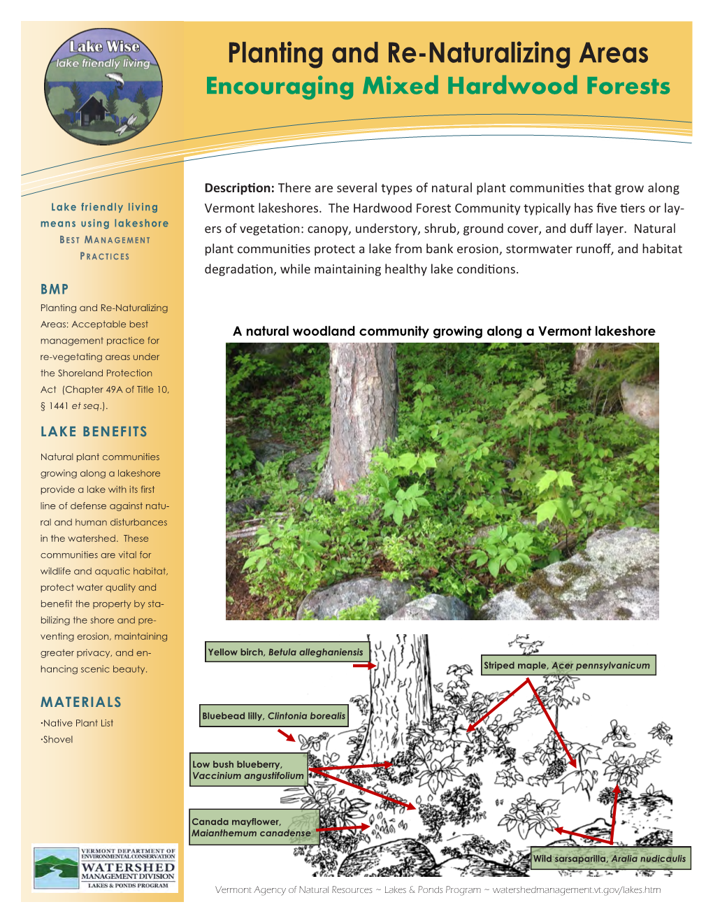 Encouraging Mixed Hardwood Forests