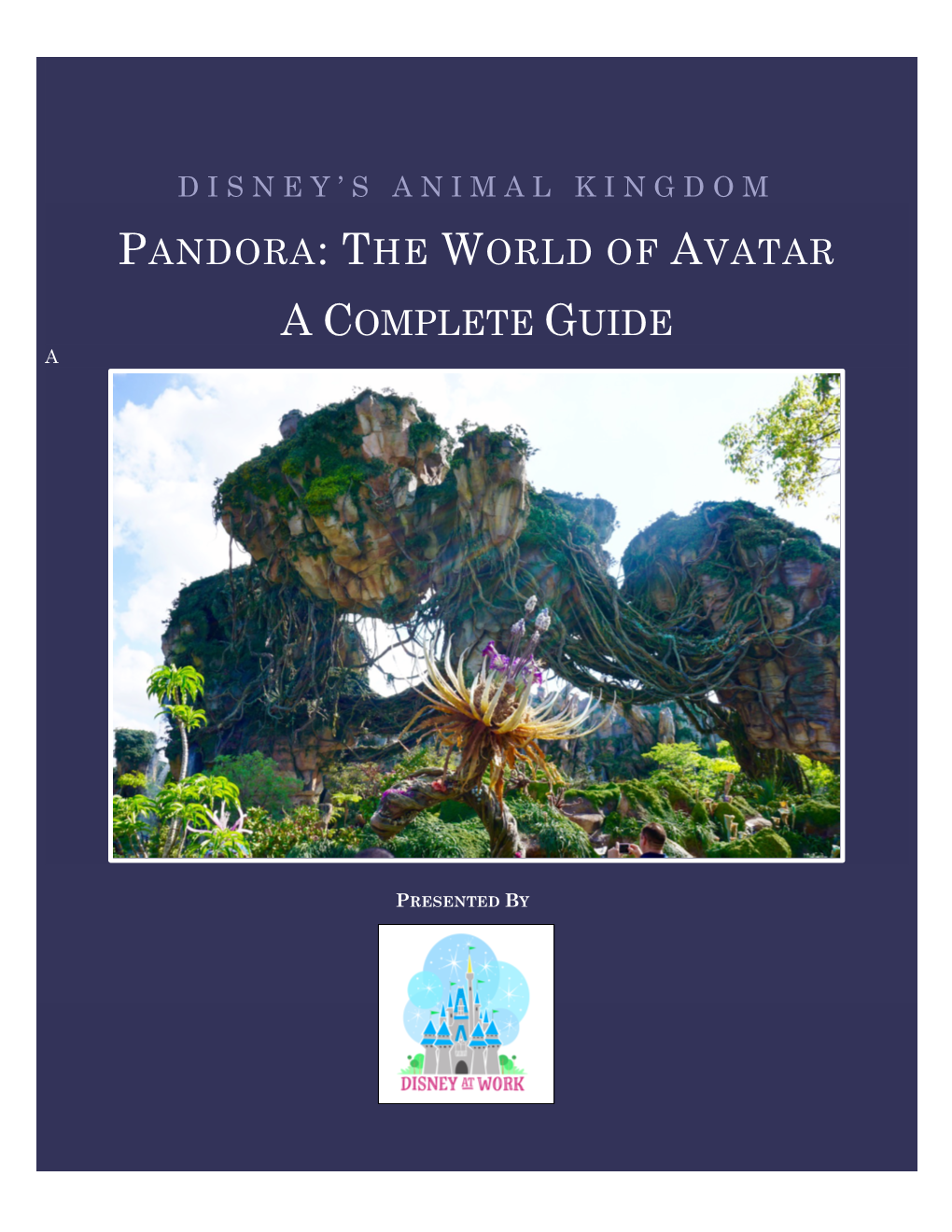 Pandora Guide