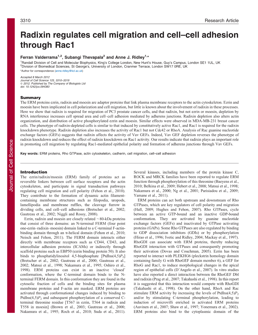 Radixin Regulates Cell Migration and Cell–Cell Adhesion Through Rac1