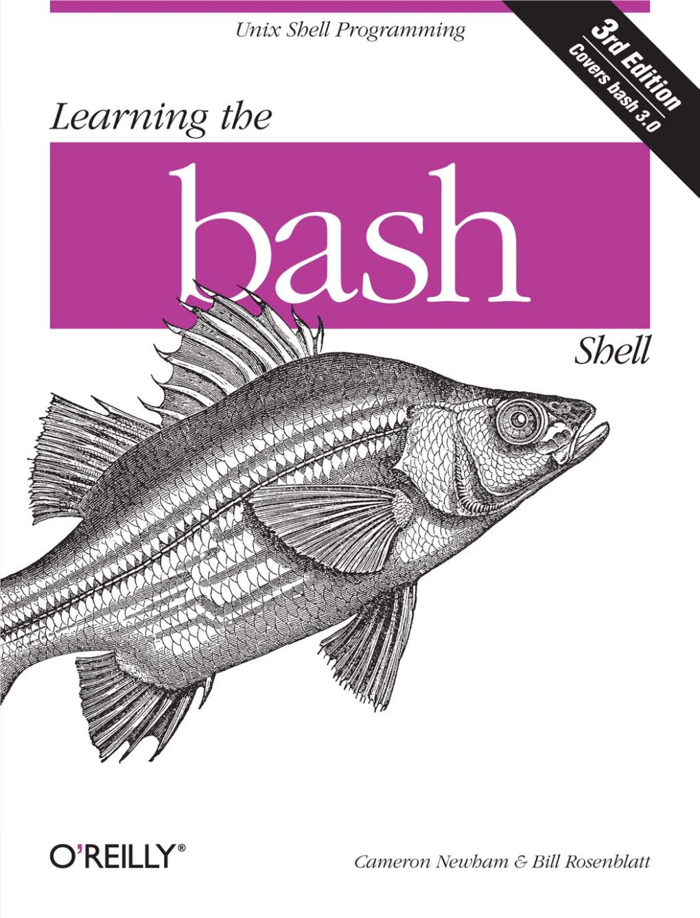 Learning the Bash Shell Other Resources from O’Reilly