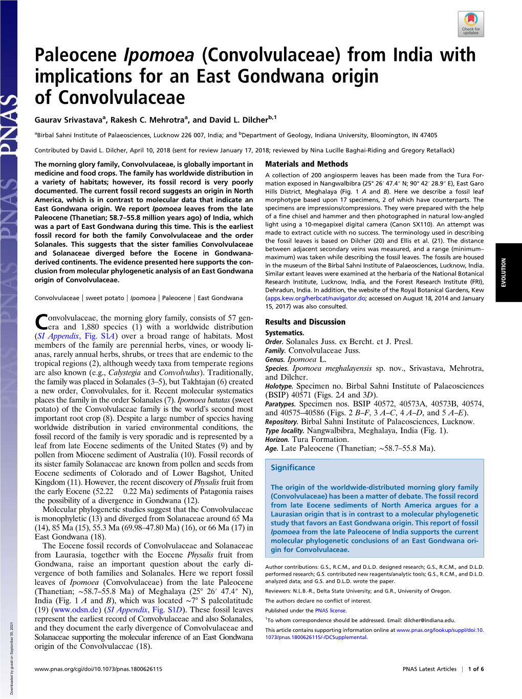 Paleocene Ipomoea (Convolvulaceae) from India with Implications for an East Gondwana Origin of Convolvulaceae