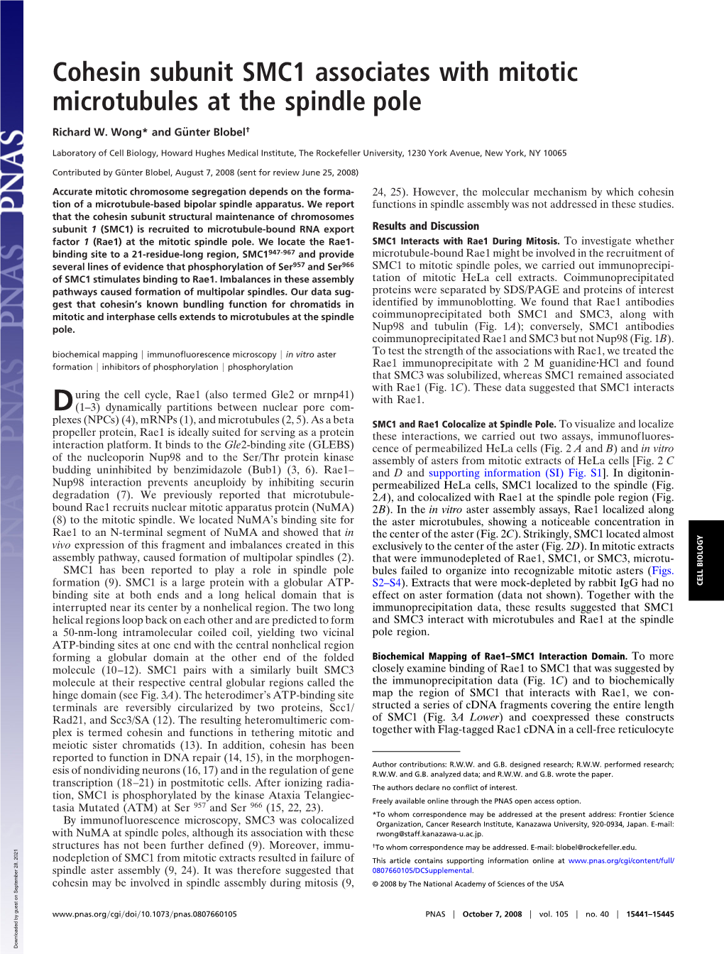 Cohesin Subunit SMC1 Associates with Mitotic Microtubules at the Spindle Pole