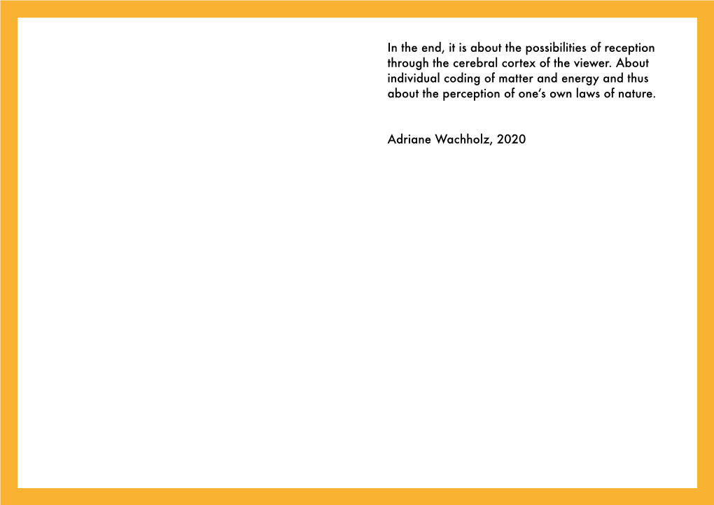 In the End, It Is About the Possibilities of Reception Through the Cerebral Cortex of the Viewer