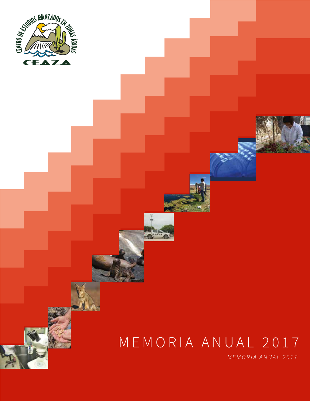 Memoria Anual 2017 Memoria Anual 2017 Memoria Anual 2017 3 Annual Report 2017 4 Pág