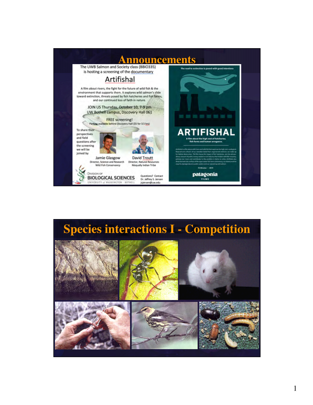 Species Interactions I - Competition