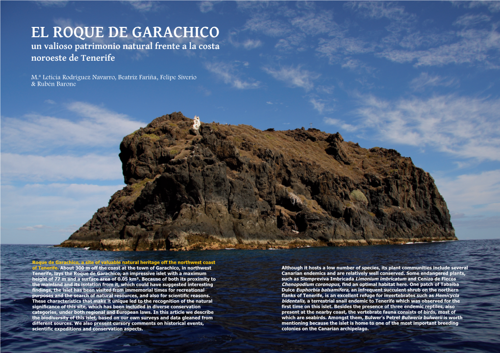 El Roque De Garachico Un Valioso Patrimonio Natural Frente a La Costa Noroeste De Tenerife