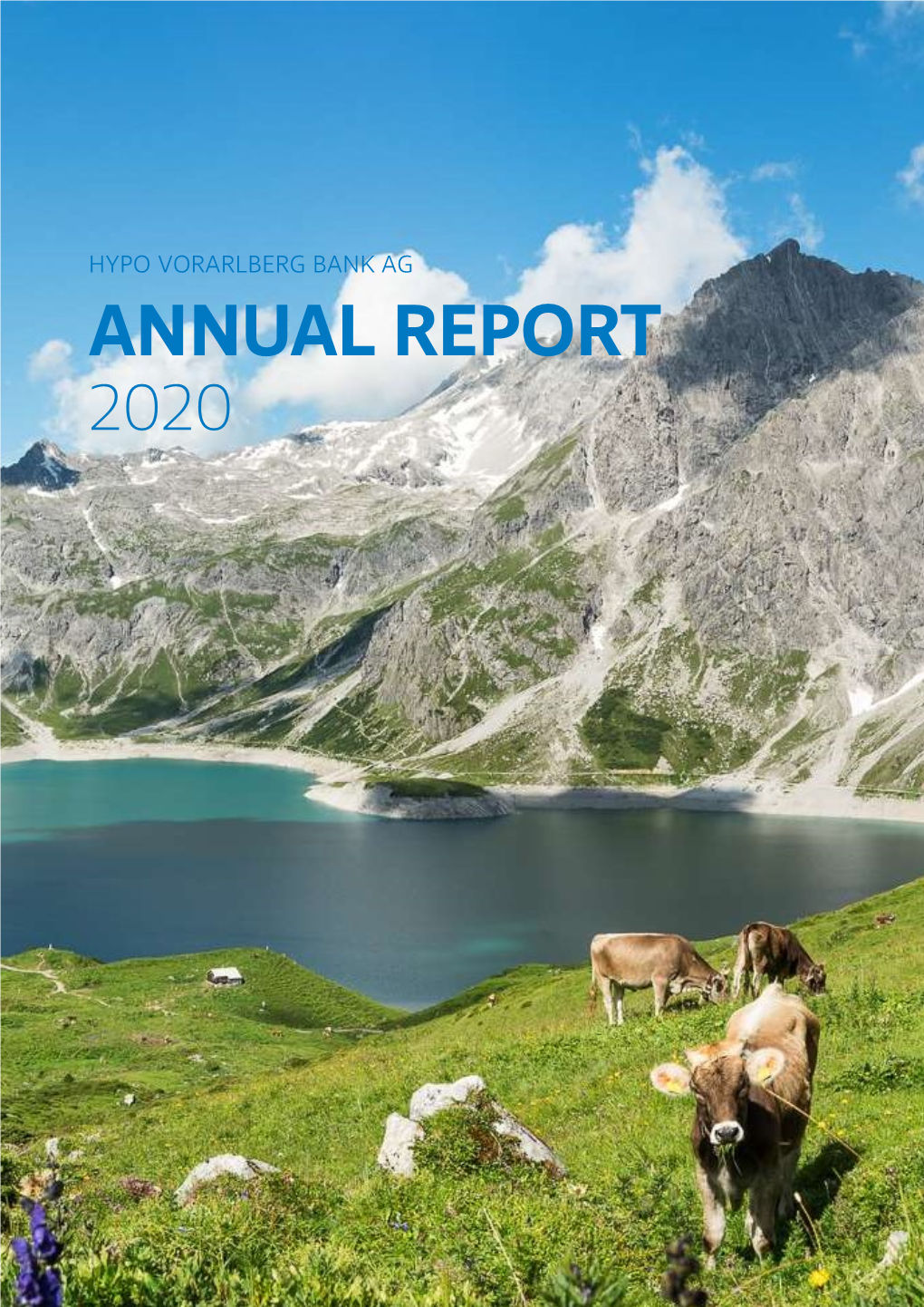 Annual Report 2020 Hypo Vorarlberg