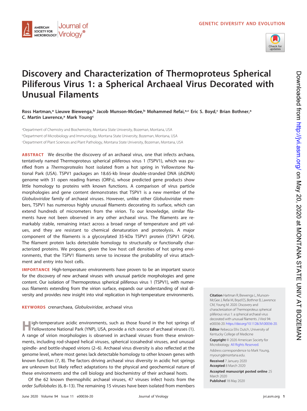 Discovery and Characterization of Thermoproteus Spherical Piliferous Virus 1