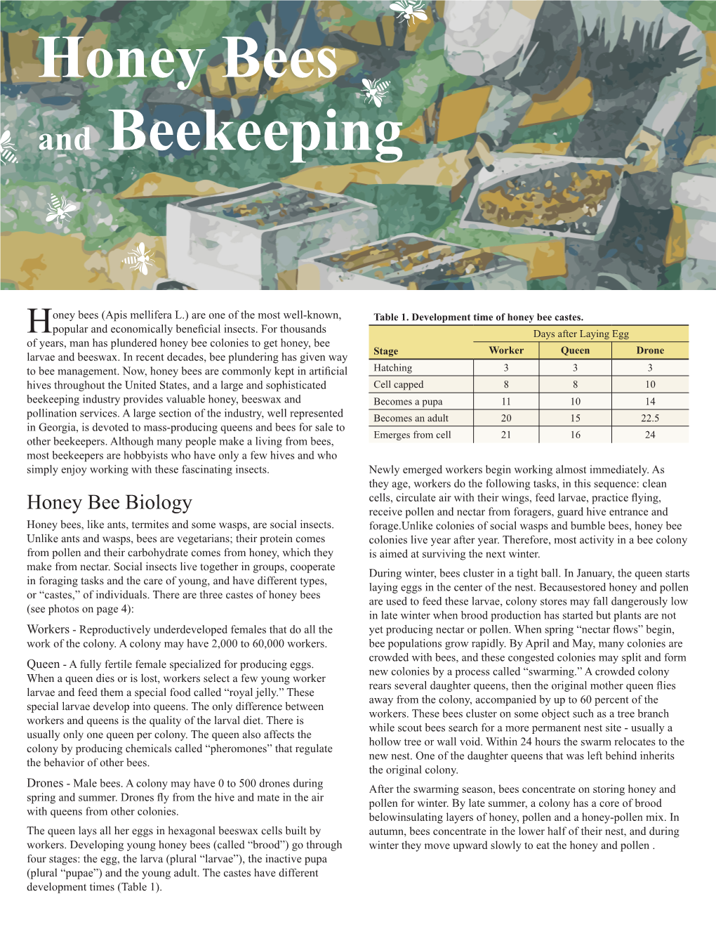 Honey Bees and Beekeeping