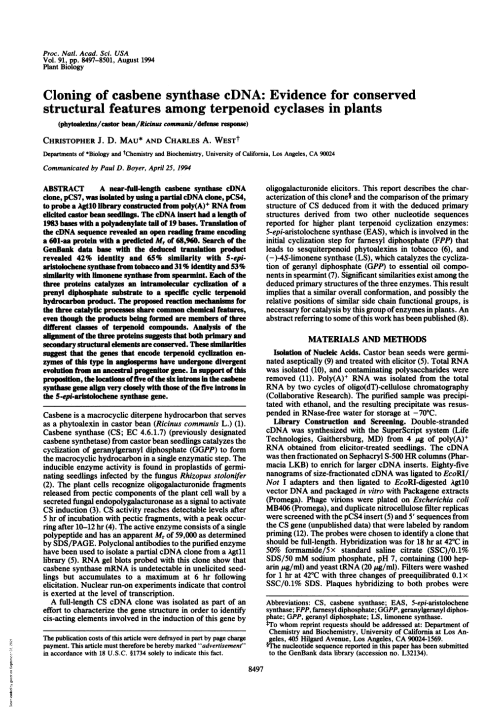 Cloning of Casbene Synthase Cdna: Evidence for Conserved Structural