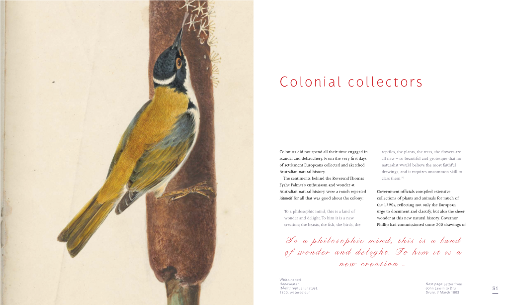 Colonial Collectors