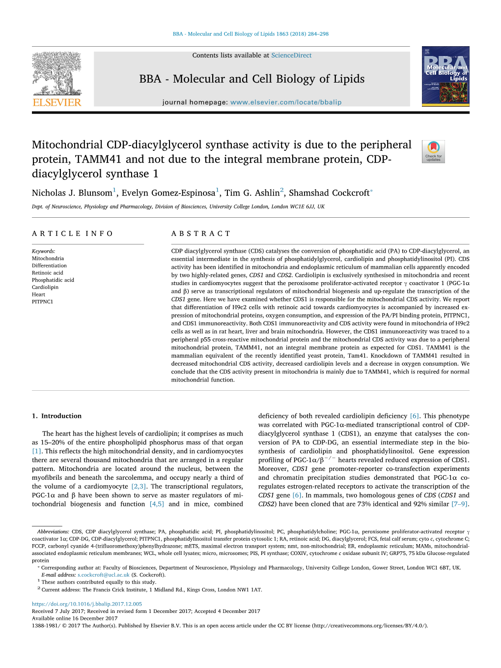 Mitochondrial CDP-Diacylglycerol Synthase Activity Is Due to The