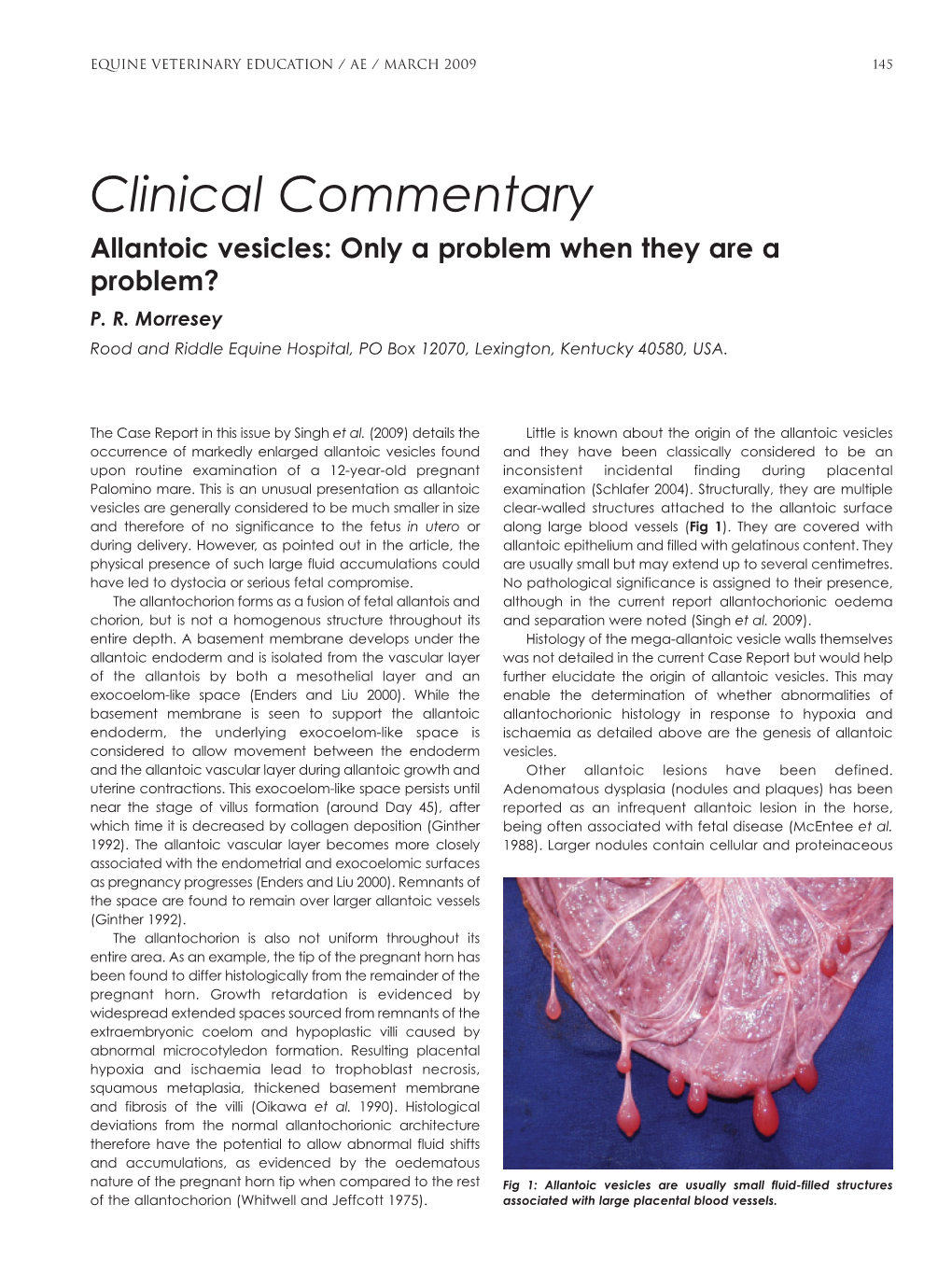 Clinical Commentary Allantoic Vesicles: Only a Problem When They Are a Problem? P