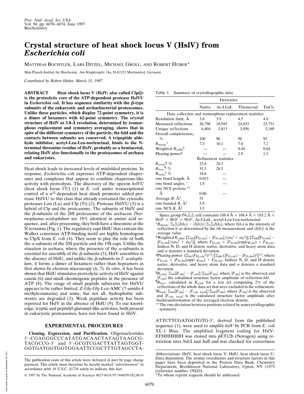 (Hslv) from Escherichia Coli