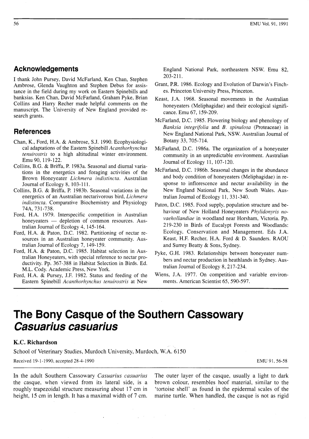 The Bony Casque of the Southern Cassowary Casuarius Casuarius K.C