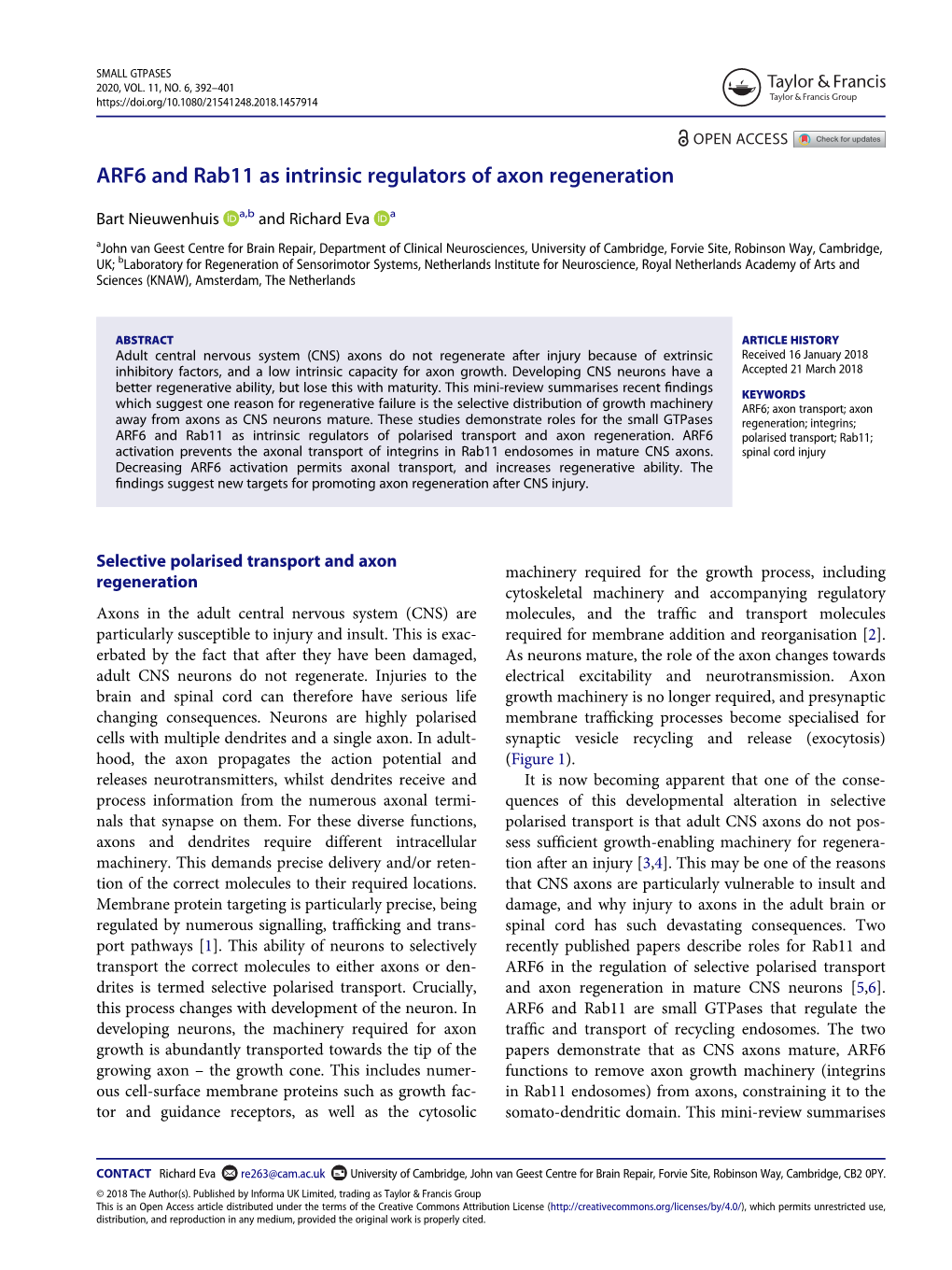ARF6 and Rab11 As Intrinsic Regulators of Axon Regeneration