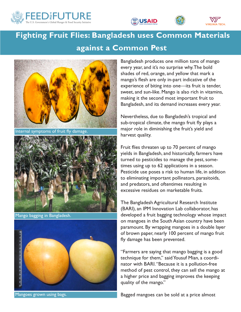 Fighting Fruit Flies: Bangladesh Uses Common Materials Against a Common Pest