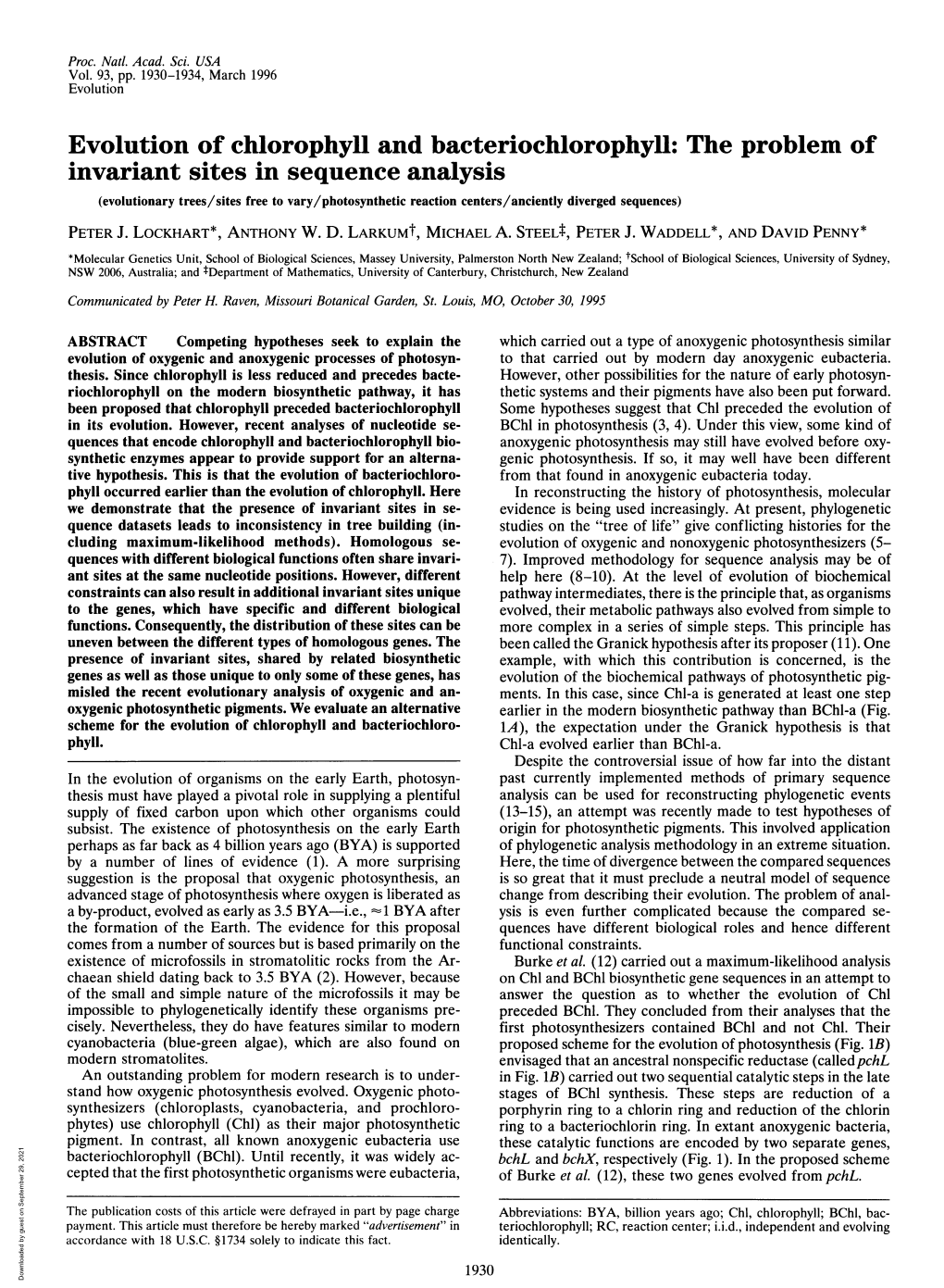 Evolution of Chlorophyll and Bacteriochlorophyll