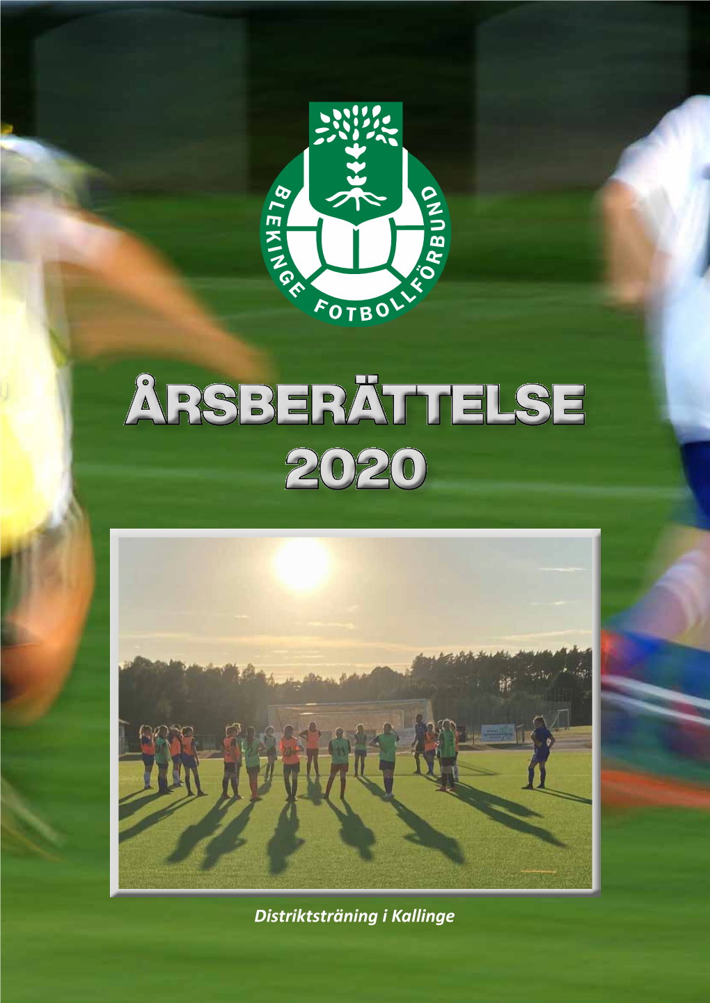 Årsberättelse 2020